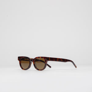 Tortoise Shell