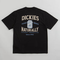 Dickies Elliston T-Shirt - Black thumbnail