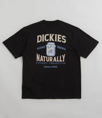 Dickies Elliston T-Shirt - Black