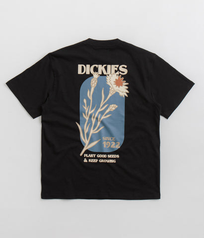 dickies-herndon-t-shirt-black-