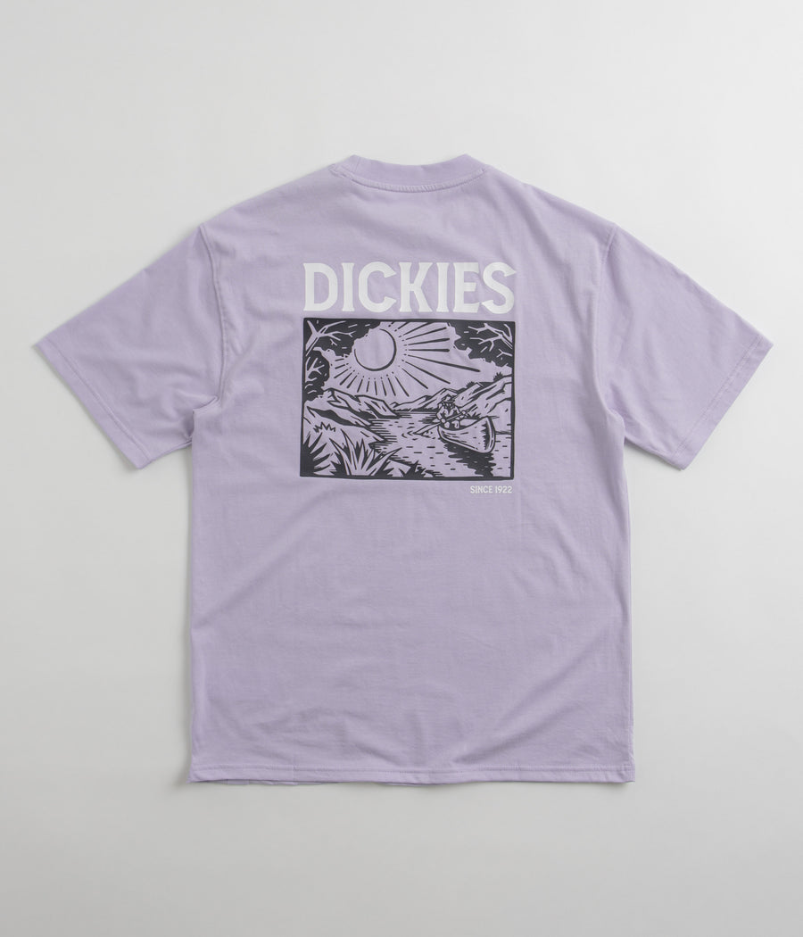 Dickies Patrick Springs T-Shirt - Cosmic Sky
