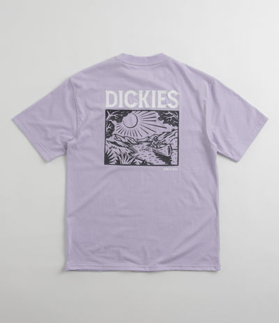 Dickies Patrick Springs T-Shirt - Cosmic Sky