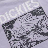 Dickies Patrick Springs T-Shirt - Cosmic Sky thumbnail