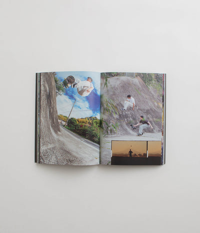 Everything Is Normal in Polar Skate Co