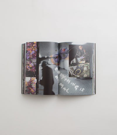 Everything Is Normal in Polar Skate Co