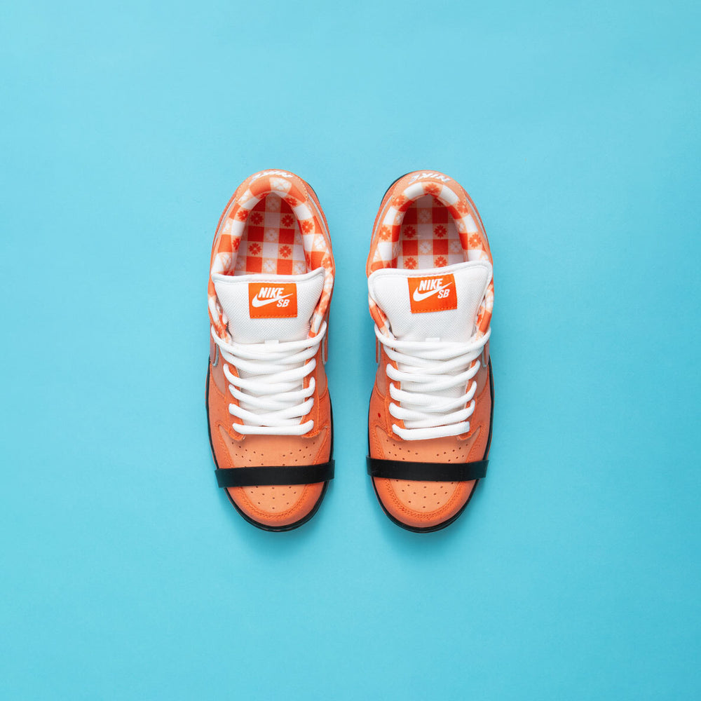 Nike SB