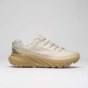 Oyster / Coyote