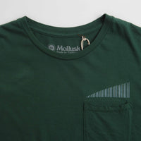 Mollusk Spectrum T-Shirt - Pinyon Green thumbnail
