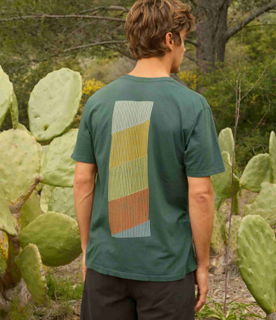 Mollusk Spectrum T-Shirt - Pinyon Green