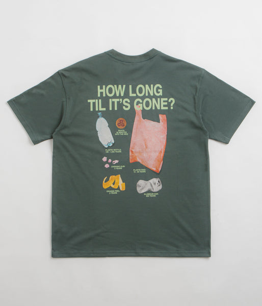 Nike ACG Pickinout T-Shirt - Vintage Green | flatspot