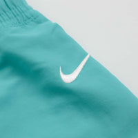 Nike ACG Reservoir Goat Shorts - Dusty Cactus / Summit White thumbnail