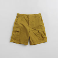 Nike SB Kearny Cargo Shorts - Bronzine thumbnail
