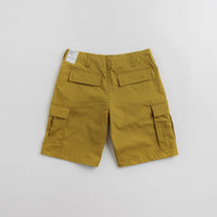 Nike SB Kearny Cargo Shorts - Bronzine thumbnail