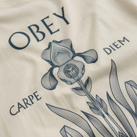Obey Iris In Bloom T-Shirt - Cream thumbnail