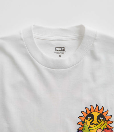 Obey The Future Is The Fruits Of Our Labour T-Shirt - White