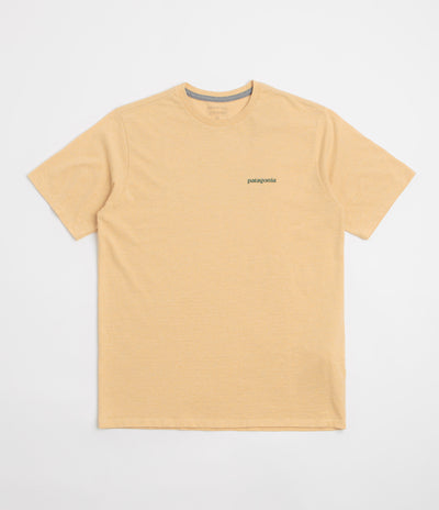 Patagonia Flying Fish Responsibili-Tee T-Shirt in Flying Fish: Cliffs and Coves Conifer Green