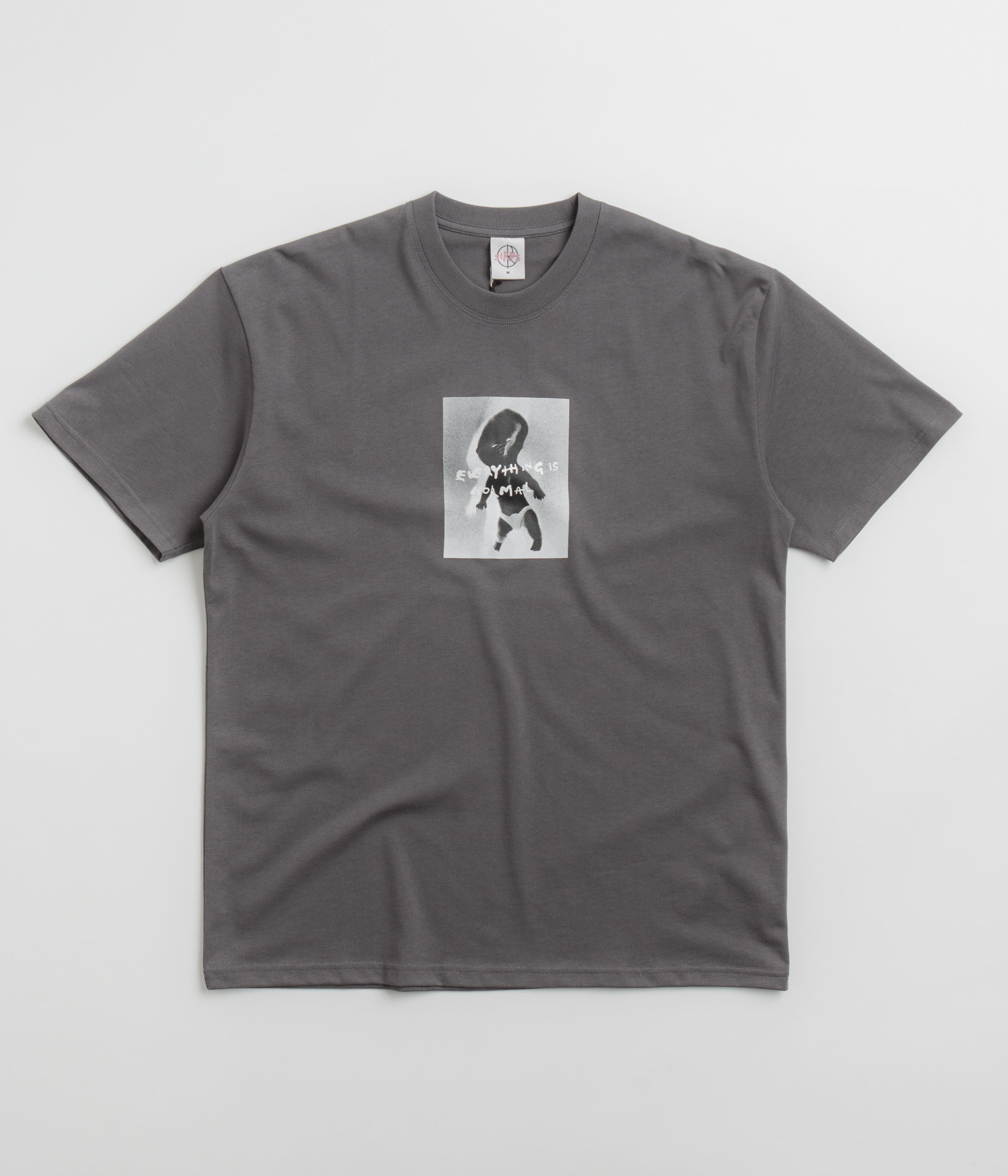 Polar Everything Is Normal T-Shirt - Graphite