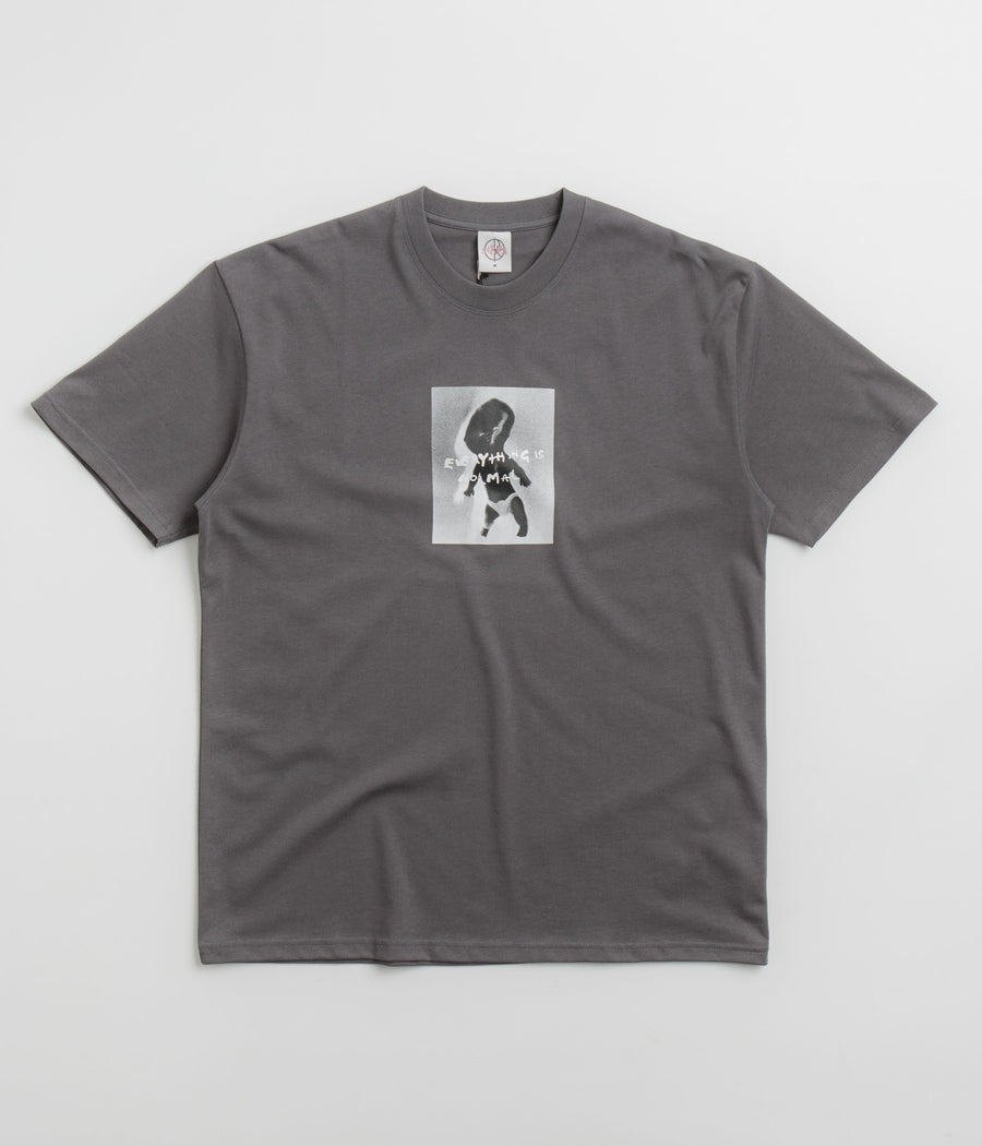 Polar Everything Is Normal T-Shirt - Graphite