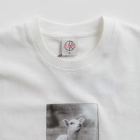 Polar Hopeless T-Shirt - White thumbnail