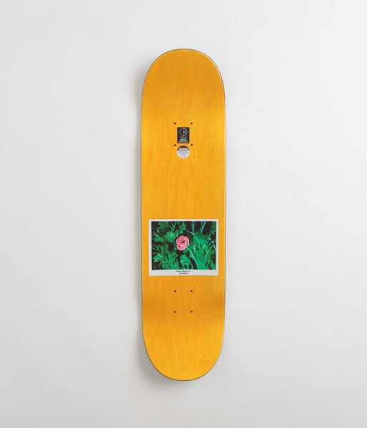 polar-nick-boserio-amaryllis-