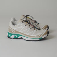 Salomon XT-6 Shoes in Rainy Day and Chinchilla / Dynasty Green thumbnail