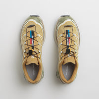 Salomon XT-6 GTX Shoes - Antelope / Icicle / Portabella thumbnail