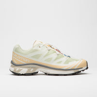 Salomon XT-6 Shoes - Aloe Wash / Hazelnut / Feather Gray thumbnail