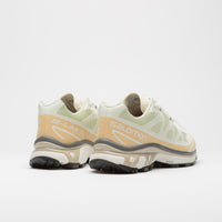 Salomon XT-6 Shoes - Aloe Wash / Hazelnut / Feather Gray thumbnail