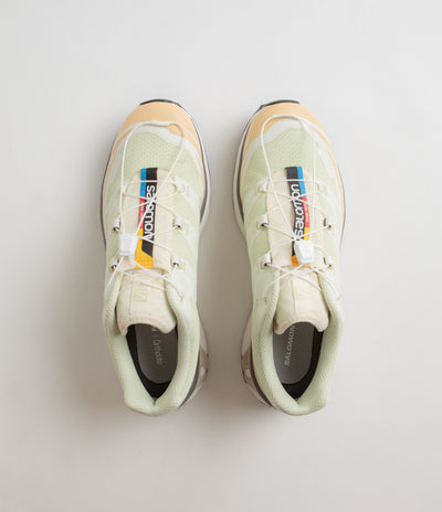Salomon XT-6 Shoes - Aloe Wash / Hazelnut / Feather Gray