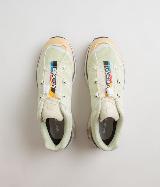 Salomon Advanced XT-6 | Aloe Wash/Hazelnut/Feather Gray