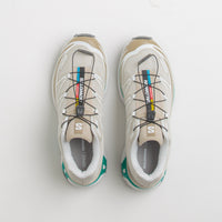 Salomon XT-6 Shoes in Rainy Day and Chinchilla / Dynasty Green thumbnail