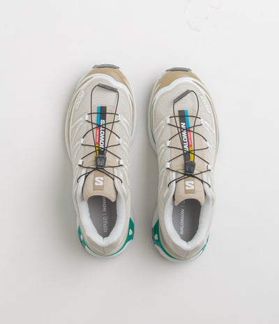 Salomon XT-6 Shoes in Rainy Day and Chinchilla / Dynasty Green
