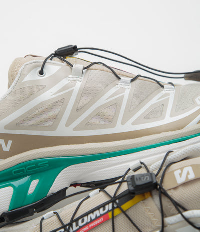 Salomon XT-6 Shoes in Rainy Day and Chinchilla / Dynasty Green