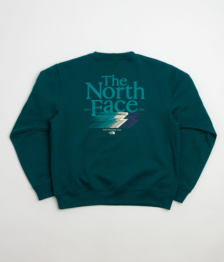 The North Face Retro Trail Relaxed Crewneck Sweatshirt in Pacific Teal
