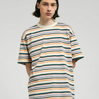 Carhartt Riggs T-Shirt in Riggs Stripe and Natural thumbnail