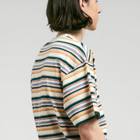 Carhartt Riggs T-Shirt in Riggs Stripe and Natural thumbnail