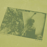 Polar Leaves And Window Long Sleeve T-Shirt in Pea Green thumbnail