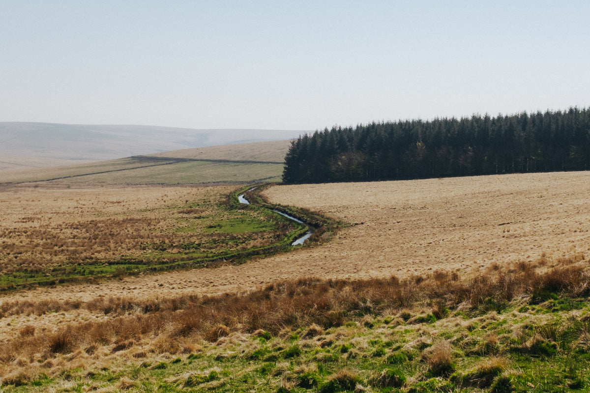 Five Dartmoor walks I keep coming back to