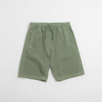 Carhartt Nelson Sweat Shorts - Park thumbnail