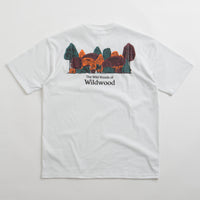 Nike ACG Wildwood T-Shirt - Summit White thumbnail