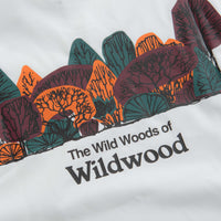 Nike ACG Wildwood T-Shirt - Summit White thumbnail