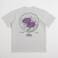Butter Goods Nature Study T-Shirt in Cement thumbnail