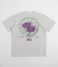 Butter Goods Nature Study T-Shirt in Cement