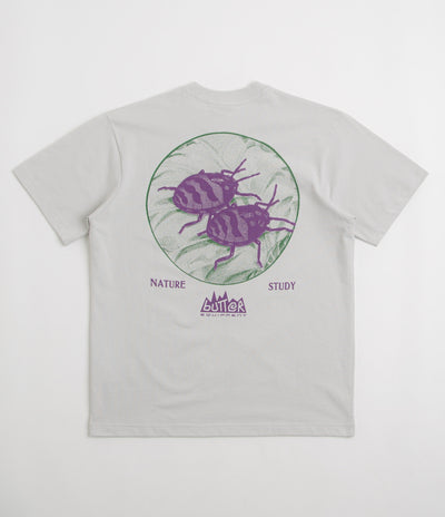 Butter Goods Nature Study T-Shirt in Cement