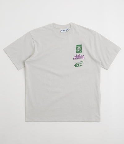 Butter Goods Nature Study T-Shirt in Cement