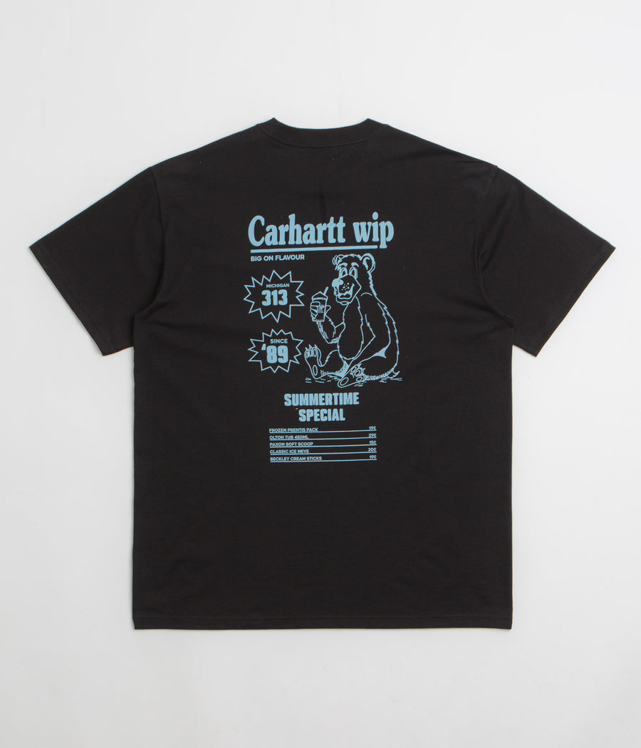 Carhartt Catalogue T-Shirt in Black and Bluebird