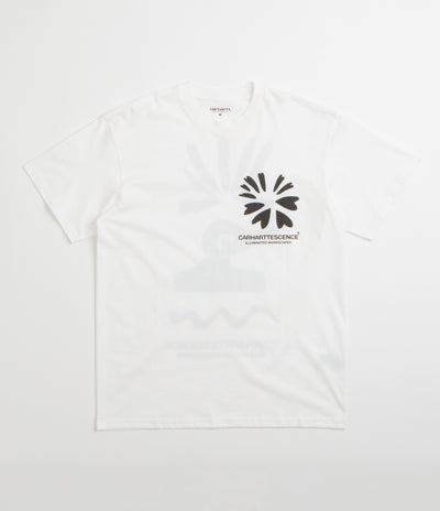 Carhartt Compy T-Shirt in White