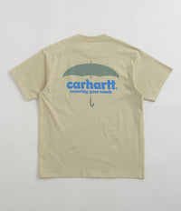Carhartt Cover T-Shirt in Beryl