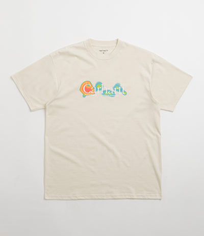 Carhartt Experiential T-Shirt - Salt