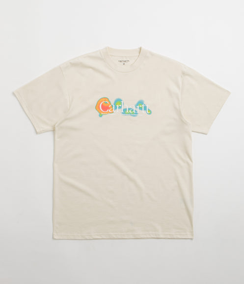 Carhartt Experiential T-Shirt - Salt